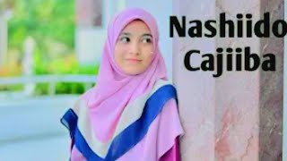 Nashiido macaan  HD  beautiful Nasheed subscribe wll 🙏 [upl. by Kizzie263]