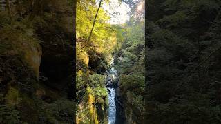 Most Gorgeous Waterfalls in PA 🤯 short shorts delawarewatergap bushkillfalls [upl. by Poirer]