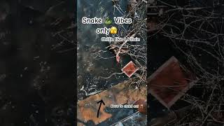 Chillin like a villain 🐍 shorts ytshorts music snake fyp ytshortsindia phonk typebeat [upl. by Duvall]