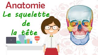 Anatomie  Apprendre tout les os de la tete dans 1 seul vidéo ostéologie du crane 2éme année médecin [upl. by Sidonie]