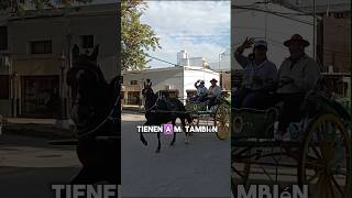 Terminé desfilando en el día de la Tradición 🇦🇷🐎 en Chascomús [upl. by Ramoj236]