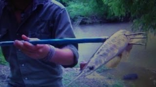 How to Use a Spearpole Hawaiian Sling [upl. by Levania]