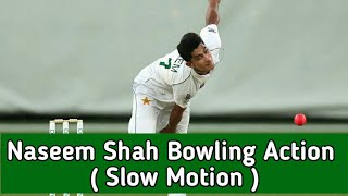 NASEEM SHAH BOWLING ACTION ANALYSIS viral cricket bowling action 2024 cricketlover as7army [upl. by Harrell]