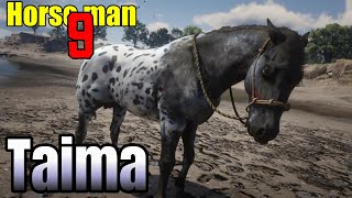 Horseman 9 with Charles Appaloosa Taima Using the Companion Glitch  Red Dead Redemption 2 [upl. by Nuhsar950]