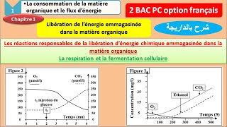 les réactions responsables de la libération dénergie emmagasinée dans la matière organique partie 1 [upl. by Huang]