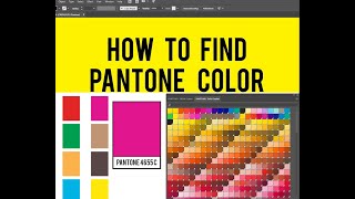 EASY WAY TO ADD PANTONE COLOR NUMBER IN ADOBE ILLUSTRATOR [upl. by Ancalin]