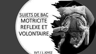 SUJETS BAC Motricité 2 [upl. by Anauqcaj]