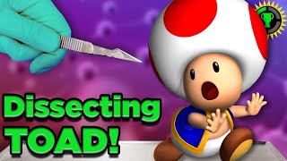 Super Mario reacts to Game Theory Part 1 ¦¦Original¦¦ [upl. by Hjerpe]