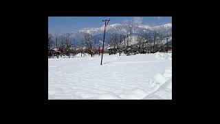 Warnow Lolab Kupwara Kashmir youtubeshorts [upl. by Cordova]