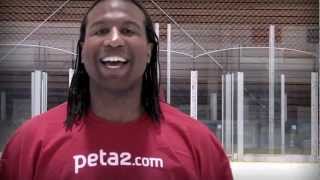 Olympics Sochi NHL  VEGAN Georges Laraque Micd up Fight Highlights Who Know GSP Goal Phoenix YOLO [upl. by Hernardo]