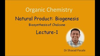 Biogenesis  Biosynthesis of Chalcone [upl. by Skillern]