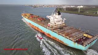 MSC Yamuna VI on the Western Scheldt near Vlissingen [upl. by Ceporah476]