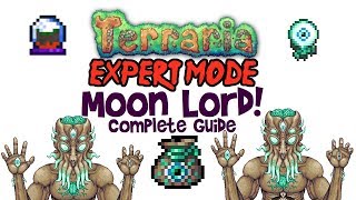 Terraria Moon Lord Guide Expert Mode amp Normal Arena Drops amp Fight MobileConsolePC [upl. by Durnan]