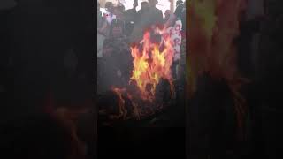 Watch Peruvian Protesters Clash With Police in Capital Lima  Subscribe to Firstpost [upl. by Sophia]