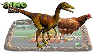 DINO DAN DINO DUELS  6  Compsognathus VS Chicken [upl. by Cissiee]