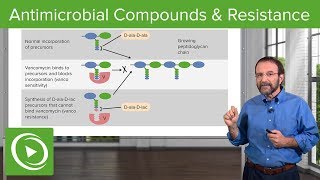 Antimicrobial Compounds amp Resistance – Microbiology  Lecturio [upl. by Retloc743]