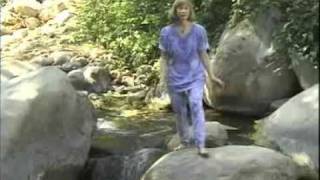 Tai Chi Chih DVD by Pam Towne [upl. by Kaete538]