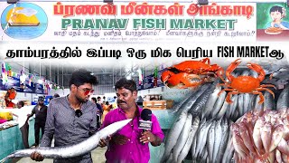 மிகபெரிய FISH MARKET தாம்பரம் 😮🤯 [upl. by Noslien]