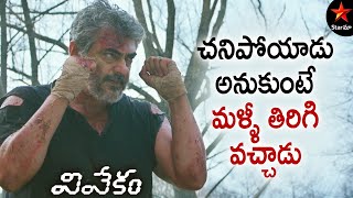 Ajith is Back Again  Vivekam Full Movie Telugu  Ajith  Kajal Aggarwal  Star Maa [upl. by Atinuj]