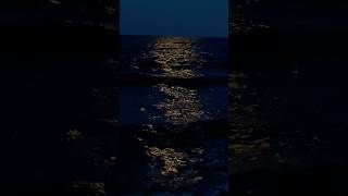 Magic Sea Under the Moon Relaxing Sounds of Waves and Wind soothingseasounds searelaxation [upl. by Elrem297]