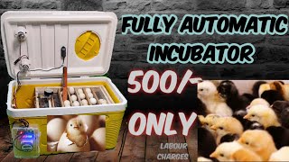 Fully Automatic Incubator ll Home made ll Hatch Eggs at home ll 75 eggs capacity [upl. by Minna]