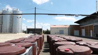 Comptoir Français Commercial à Cognac en Charente négociant en spiritueux et alcools [upl. by Harihs996]