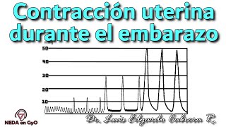 CONTRACCIÓN UTERINA ¿Sabes que ocurren durante todo el embarazo No solo durante el TRABAJO DE PARTO [upl. by Nosirb]