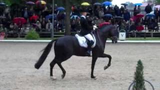 Dressage star Sarkozy and Eva Moller Warendorf 2010 [upl. by Klusek]