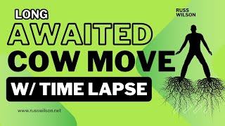 Unveiling the latest on the longawaited cow move with time lapse [upl. by Audras881]