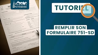 TUTORIEL  Remplir son formulaire 751SD  LMNP [upl. by Leo751]