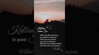 Kalbine iyi geleni sev anlamlısözler güzelsözler love sevgi shorts [upl. by Adnawyt732]