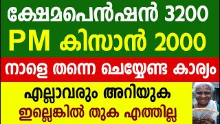 ക്ഷേമപെൻഷൻ PM കിസാൻ നാളെ തന്നെ ചെയ്യേണ്ട കാര്യം Pension PM Kisan [upl. by Annasoh216]