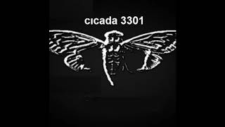 cicada 3301 the music [upl. by Willow]