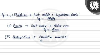 Find the incorrectly matched pair a Rhizobium \ \rightarrow \ [upl. by Zenda662]