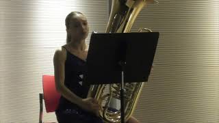 Ralph Vaughan Williams Concerto for Bass Tuba F Minor  2nd movement [upl. by Aaronson]