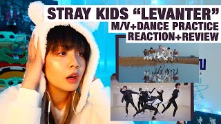 OG KPOP STANRETIRED DANCER reactsreviews Stray Kids quotLevanterquot MV  Dance Practice [upl. by Thursby]