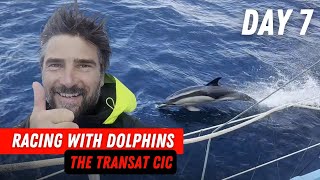 Racing with dolphins 🐬 I Day 7 I The Transat CIC [upl. by Aimo]