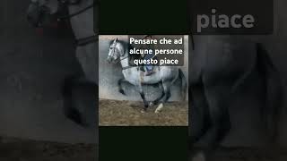 Questa non e equitazione♥️😓poverino quel cavallo 😭 [upl. by Arodasi]