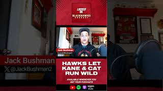 Chicago Blackhawks Lose 41 To Patrick Kane Alex DeBrincat amp Detroit Red Wings [upl. by Dahlstrom]