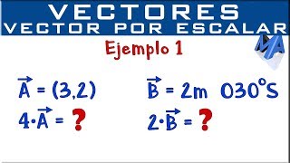 Multiplicación de un vector por un escalar  Ejemplo 1 [upl. by Lingwood970]