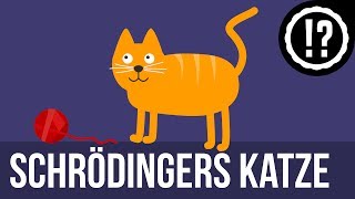 Schrödingers Katze einfach erklärt [upl. by Etnelav]