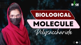 polysaccharide class 11  polysaccharide mdcat polysaccharide [upl. by Noyart179]