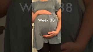 38 Weeks pregnant baby development bellyprogression [upl. by Most]