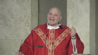 Homily of Father Carlos Martins  St Jude Thaddeus [upl. by Aholah209]