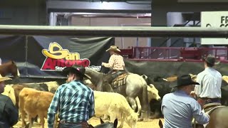 Thursday is opening day for the San Antonio Stock Show amp Rodeo [upl. by Asare984]