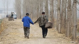 Déforestation replanter des arbres en Chine [upl. by Dnomad]