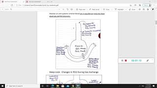 Respiratory physiology JU PART 2 [upl. by Udelle]