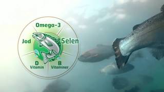 Möller´s Health from the fish [upl. by Winer]