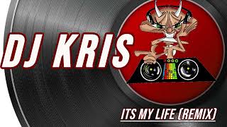 Dj Kris  Its My Life Remix [upl. by Arlena]