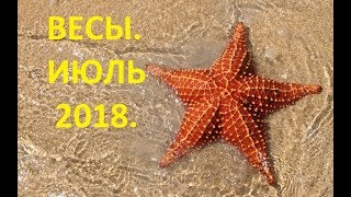 Весы Июль 2018 Общий Таро Прогноз [upl. by Eiramik]